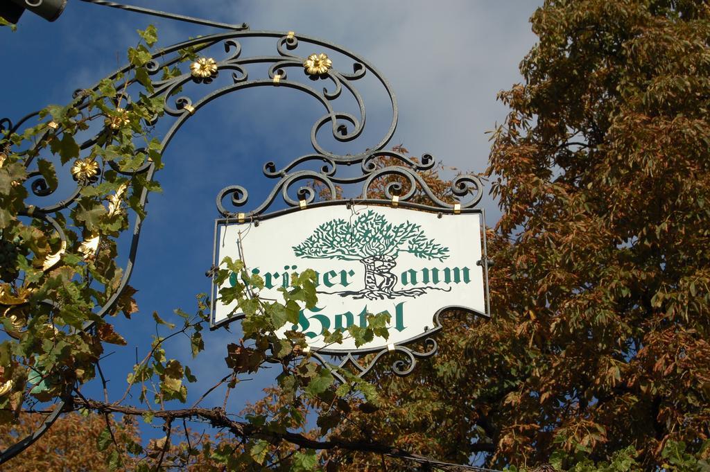 Hotel Gruener Baum Bretzenheim Екстериор снимка